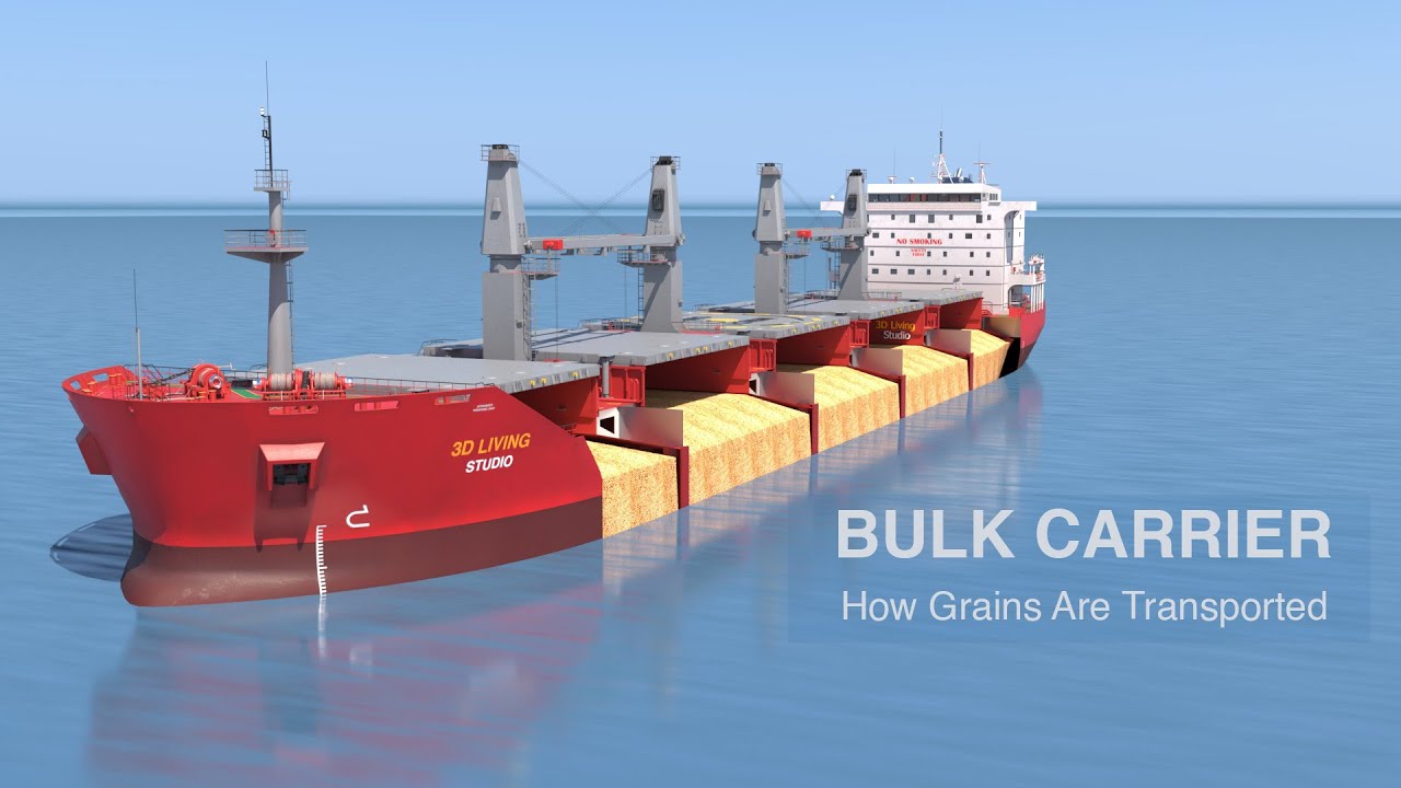 How a Bulk Carrier Works – Loading, Cargo, and Design Features