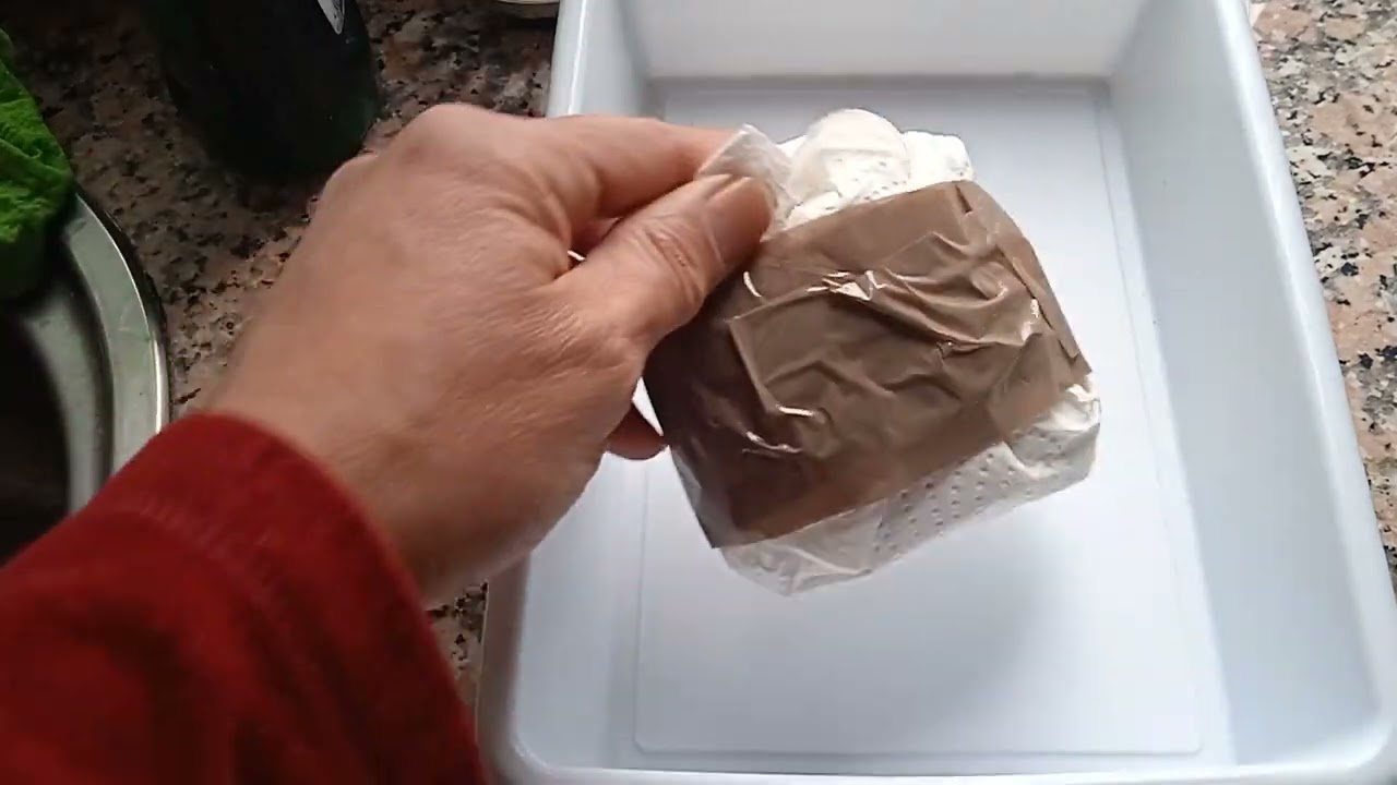 Incubación huevos gusanos de seda