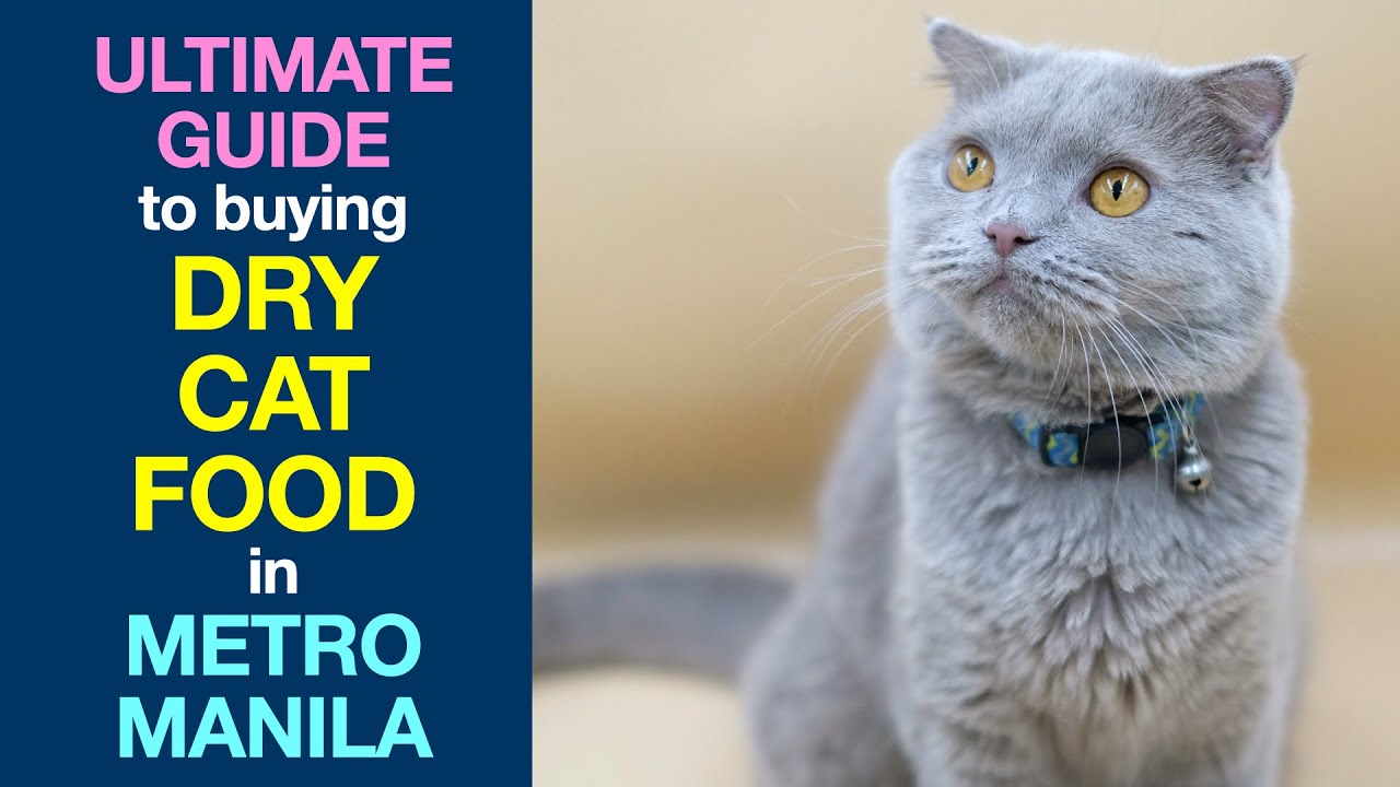 Ultimate Guide to Buying DRY CAT FOOD in Metro Manila