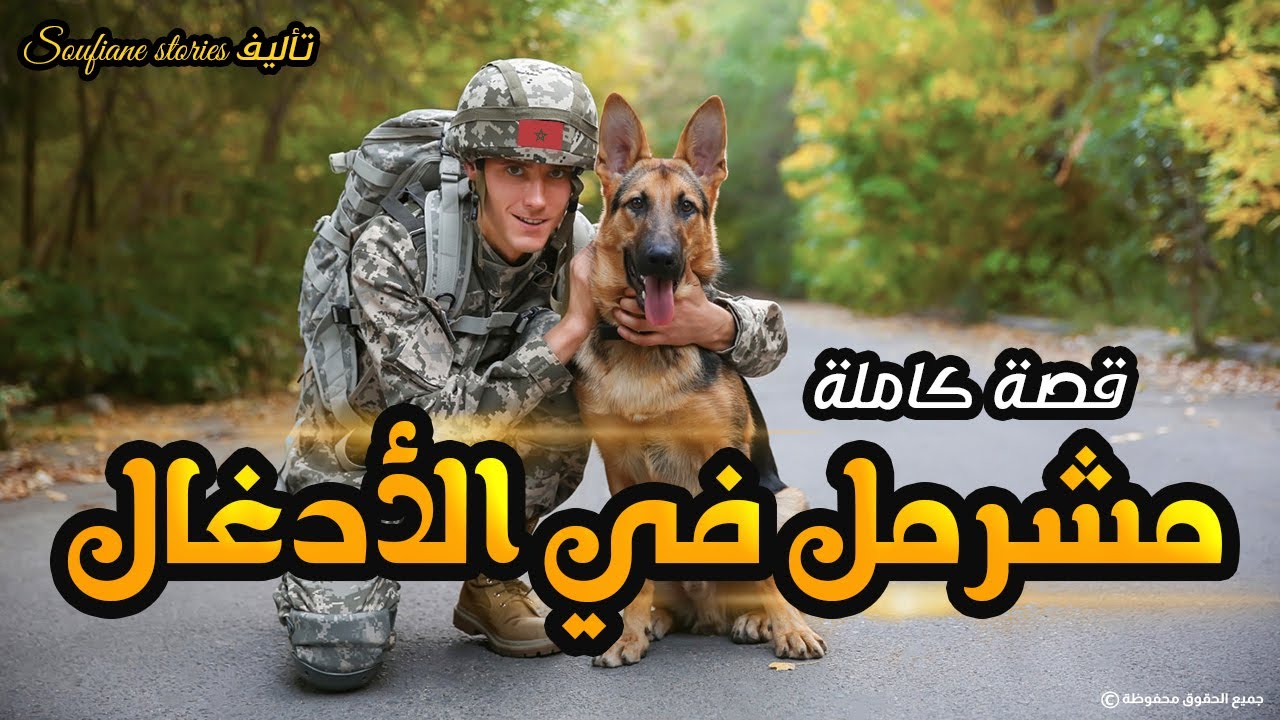 القصة 81 - مشرمل في الأدغال | كاملة