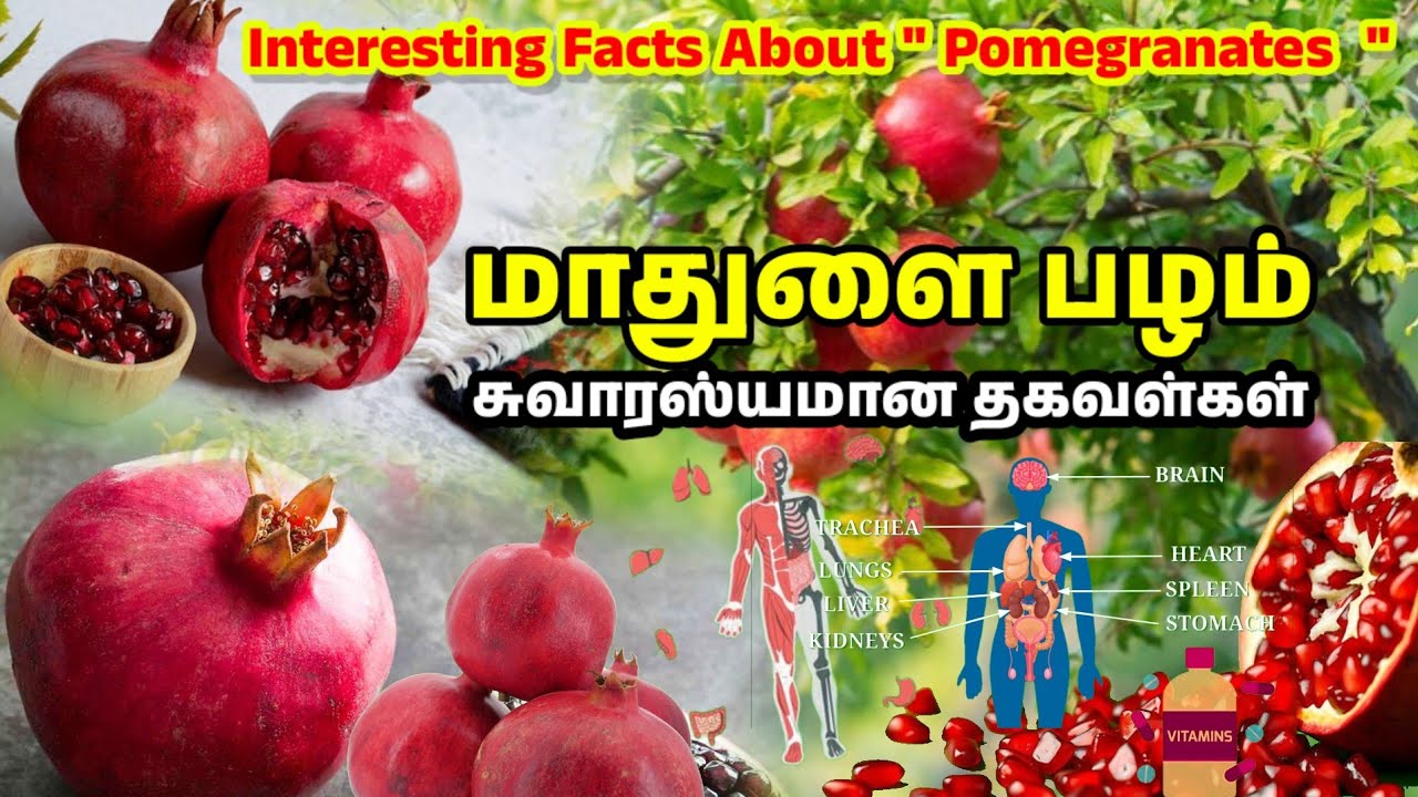 மாதுளை பற்றிய ஆச்சரியமான தகவல்கள் | Facts about Pomegranates | Health | #facts #pomogranate #health 