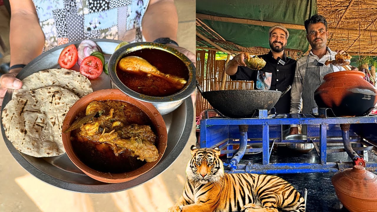 Ranthambore का TIGER CHICKEN खाया है कभी | Kadai & Handi Chicken by Alishan | Ranthambore Food Tour