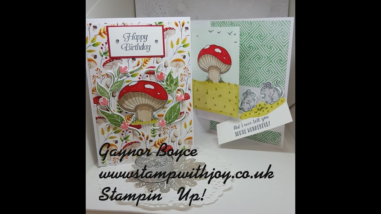 Twisted Spinner Pop Out card Stampin' Up!