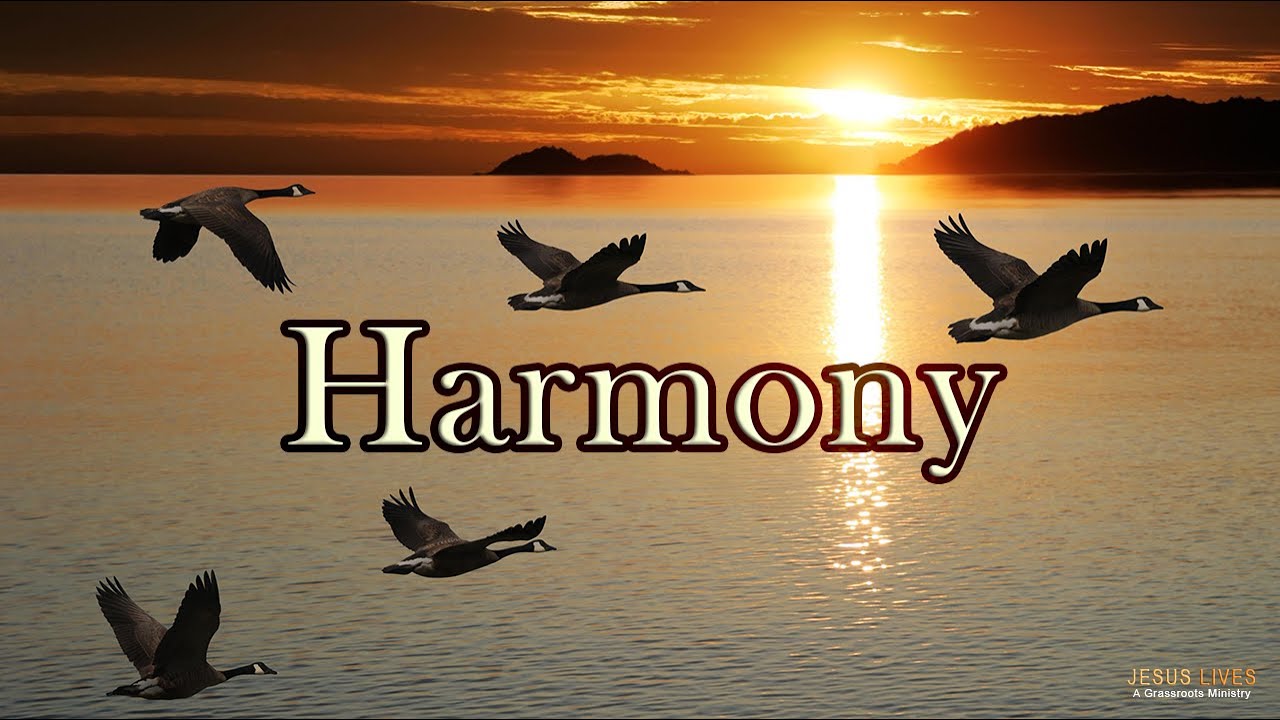 Harmony | Pastor Phil | @JesusLives