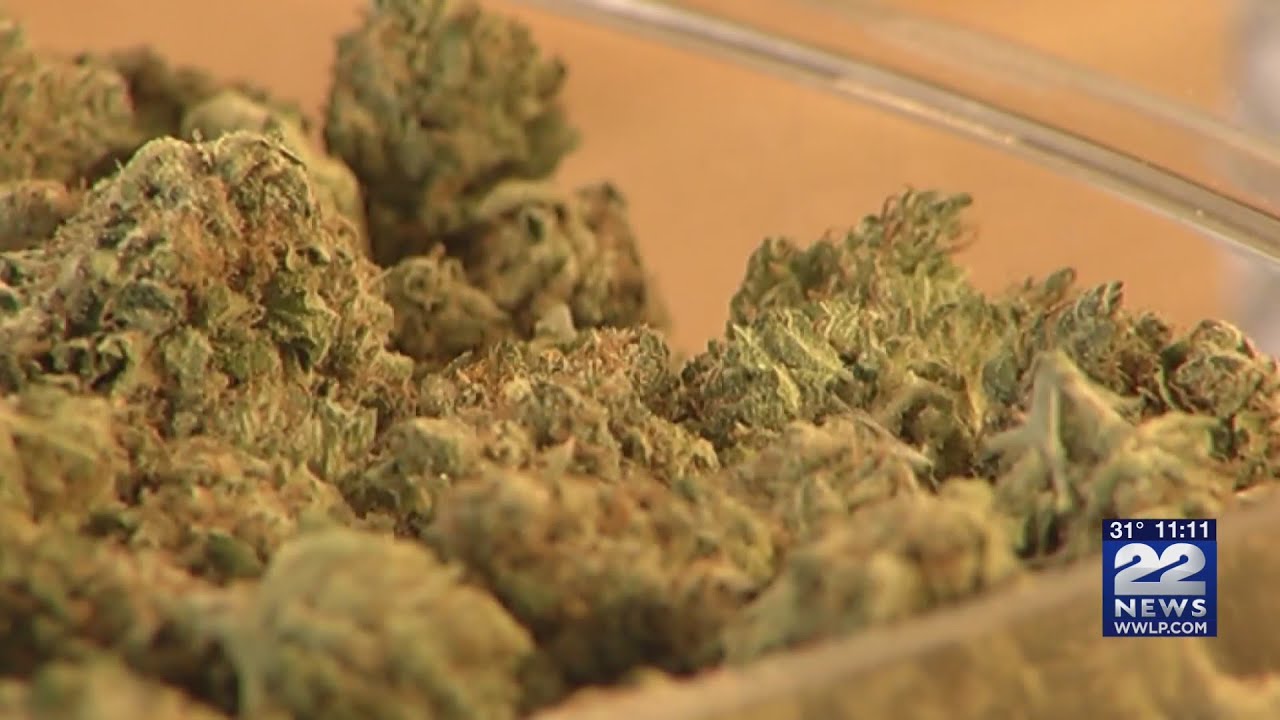 Boston Bud Factory files request with the City of Springfield on scoring for marijuana selection pro