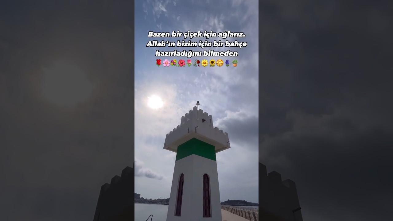Bazen bir &ccedil;i&ccedil;ek i&ccedil;in ağlarız ama&hellip; #serpilportakal #travel
