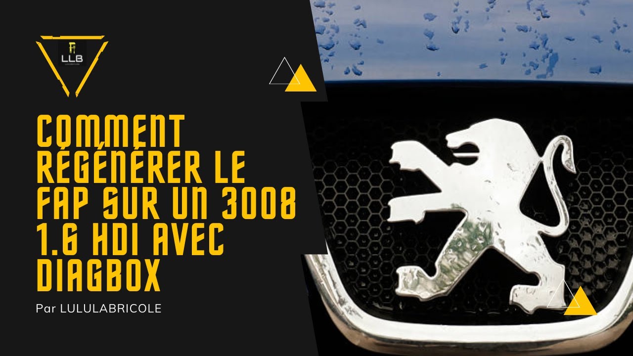 nettoyage FAP pas cher Peugeot 3008 1.6 hdi avec diagbox Psa.