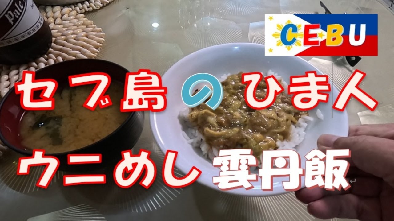 セブ・コルドヴァ ウニ飯 最高 Cebu Sea urchin rice