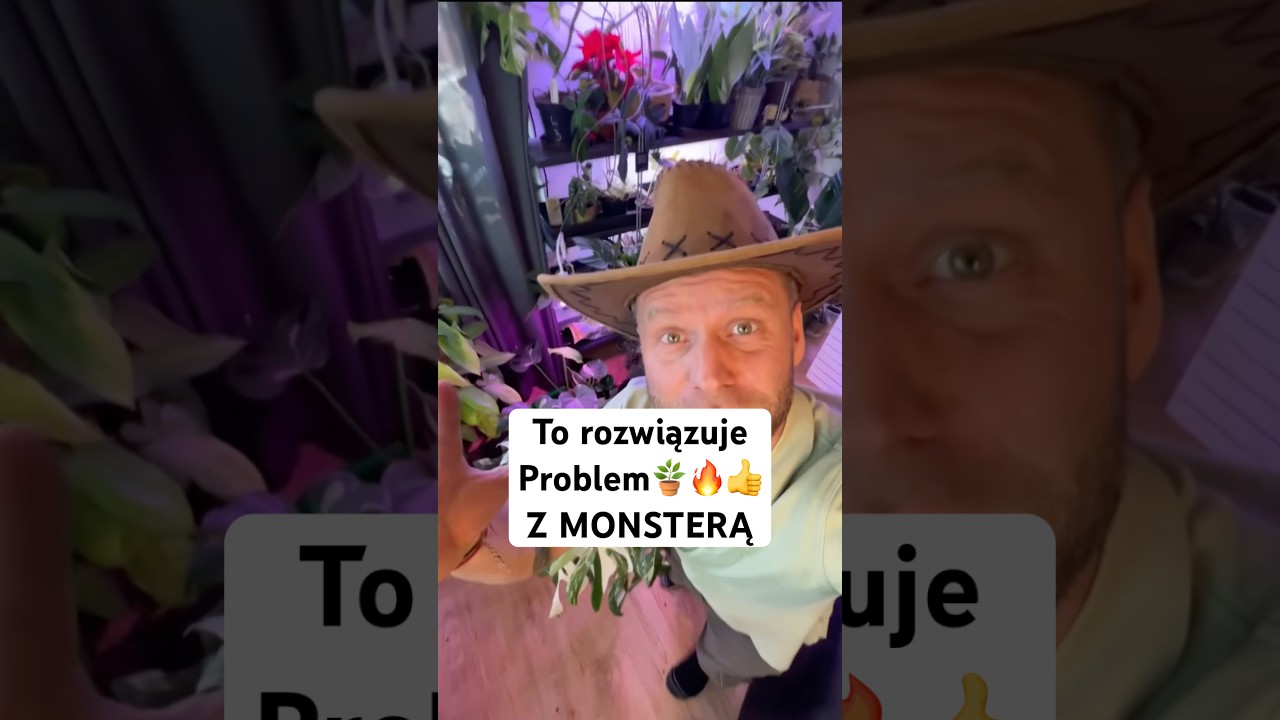 To rozwiązuje problem z Monsterą. Szok🔥👍🪴