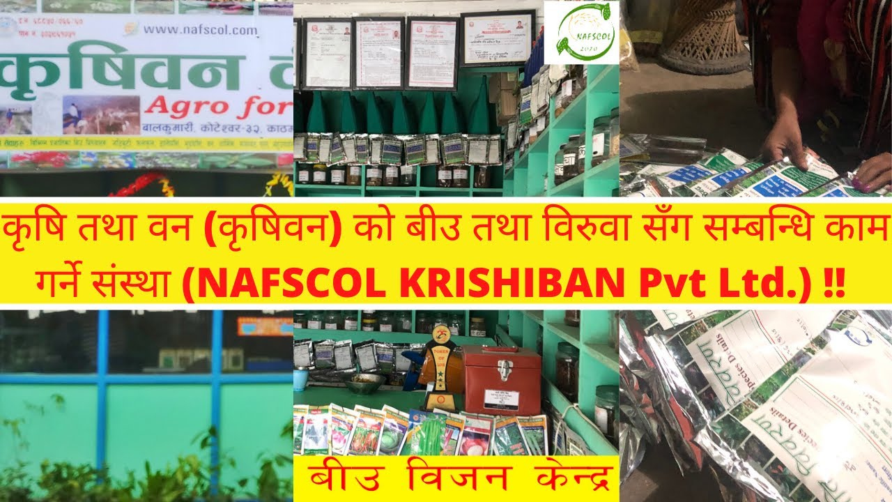 नेपालमा कृषिवनकाे क्षेत्रमा काम गर्ने उदाहरणीय संस्था | Nepal krishi tatha ban ma kaam garne sanstha