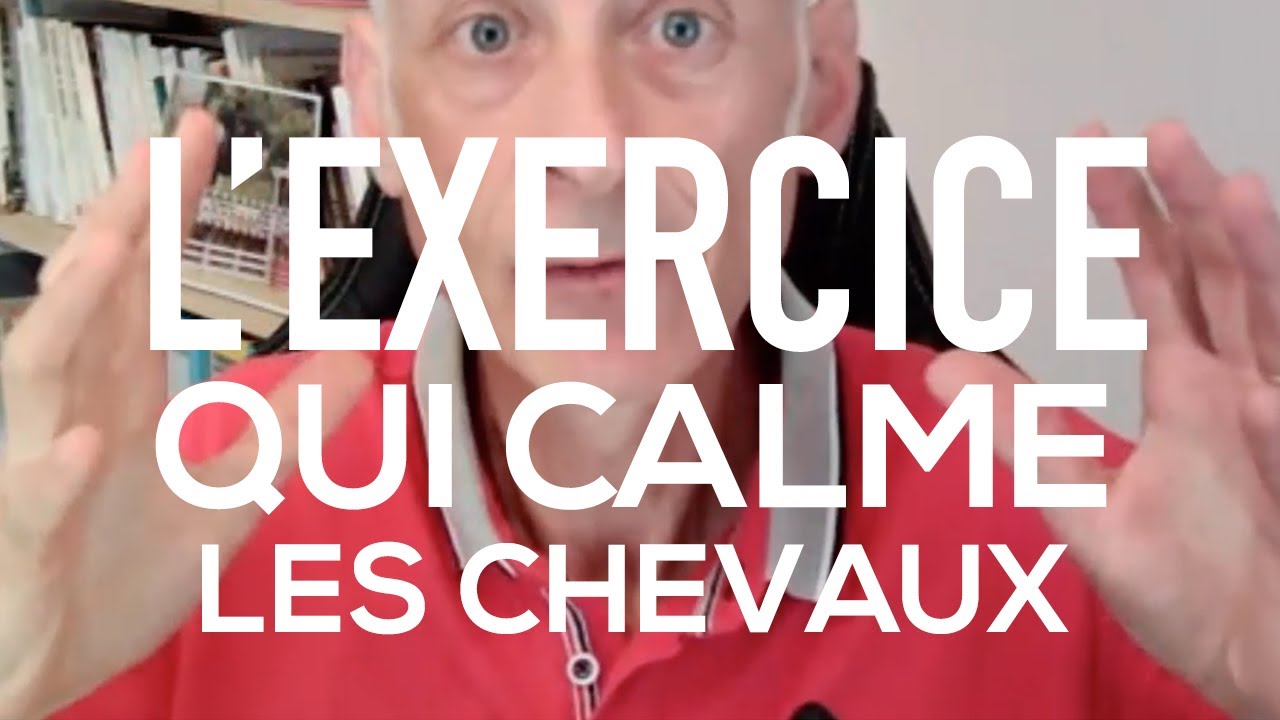 L'exercice qui calme instantanément les chevaux (avec Bernard Sachsé)