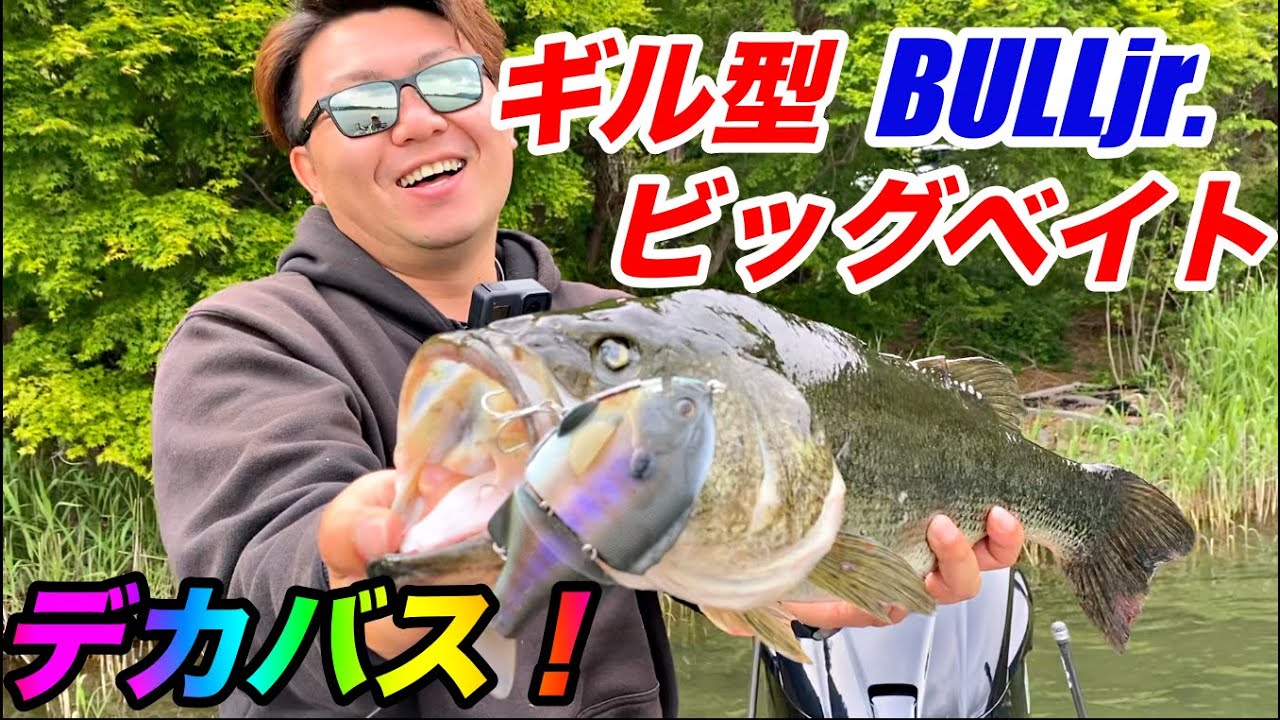 【ビッグベイト】ギルネストパターンを狙ったらモンスター釣れた！