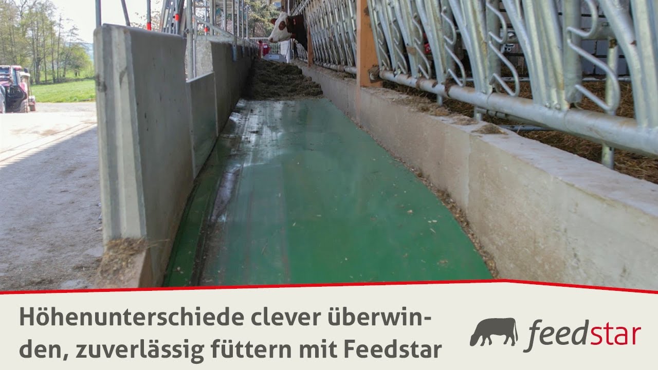 Cleverly overcome differences in elevation and feed reliably with Feedstar | Wiersberger Dairy Farm