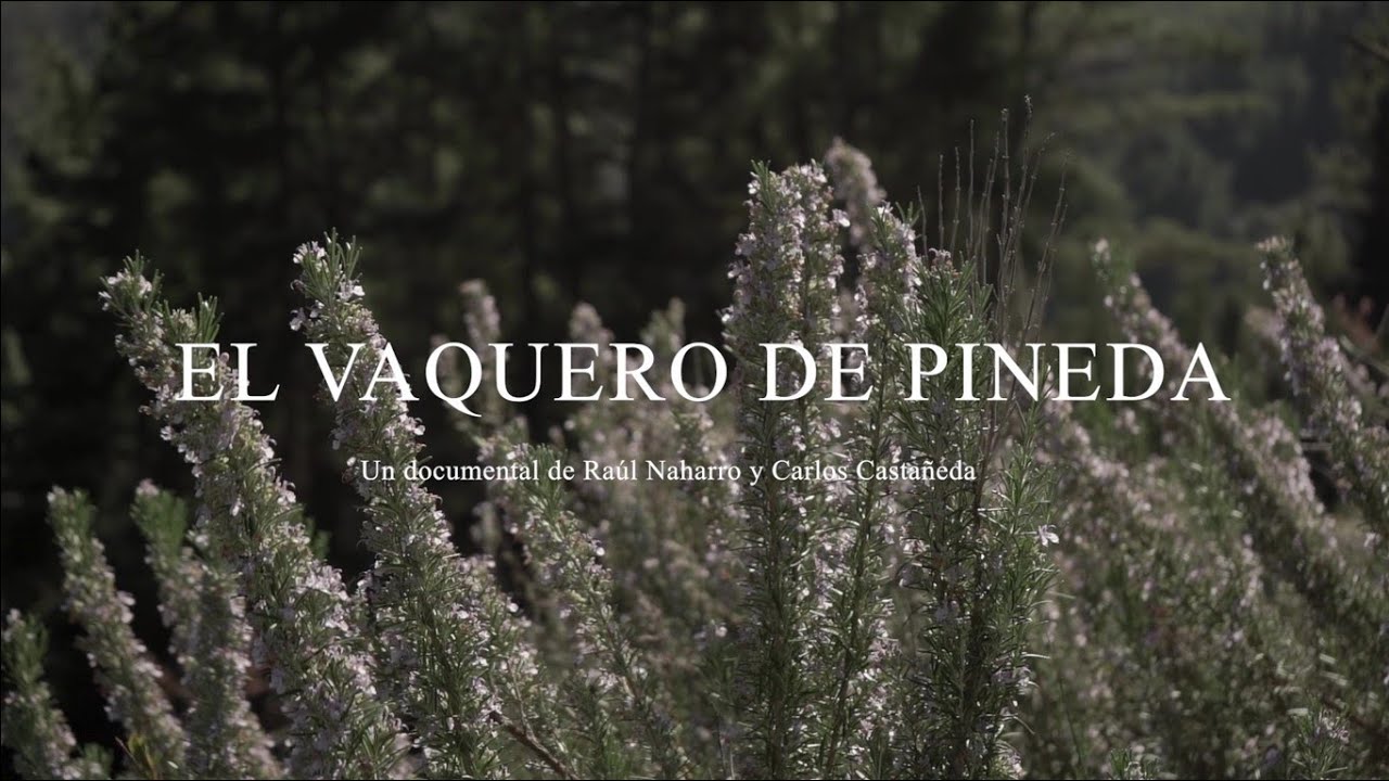 EL VAQUERO DE PINEDA