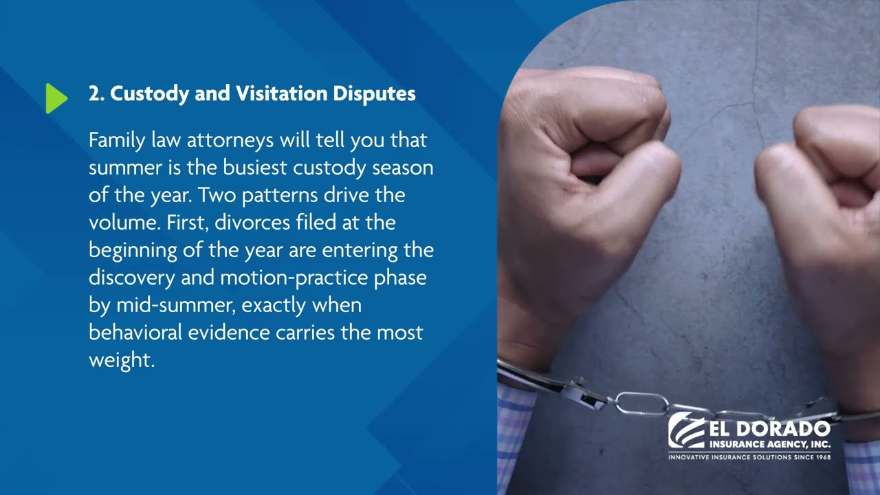 Travel, Custody, and Insurance Fraud: The Three Big Cases PIs Take On Each Summer