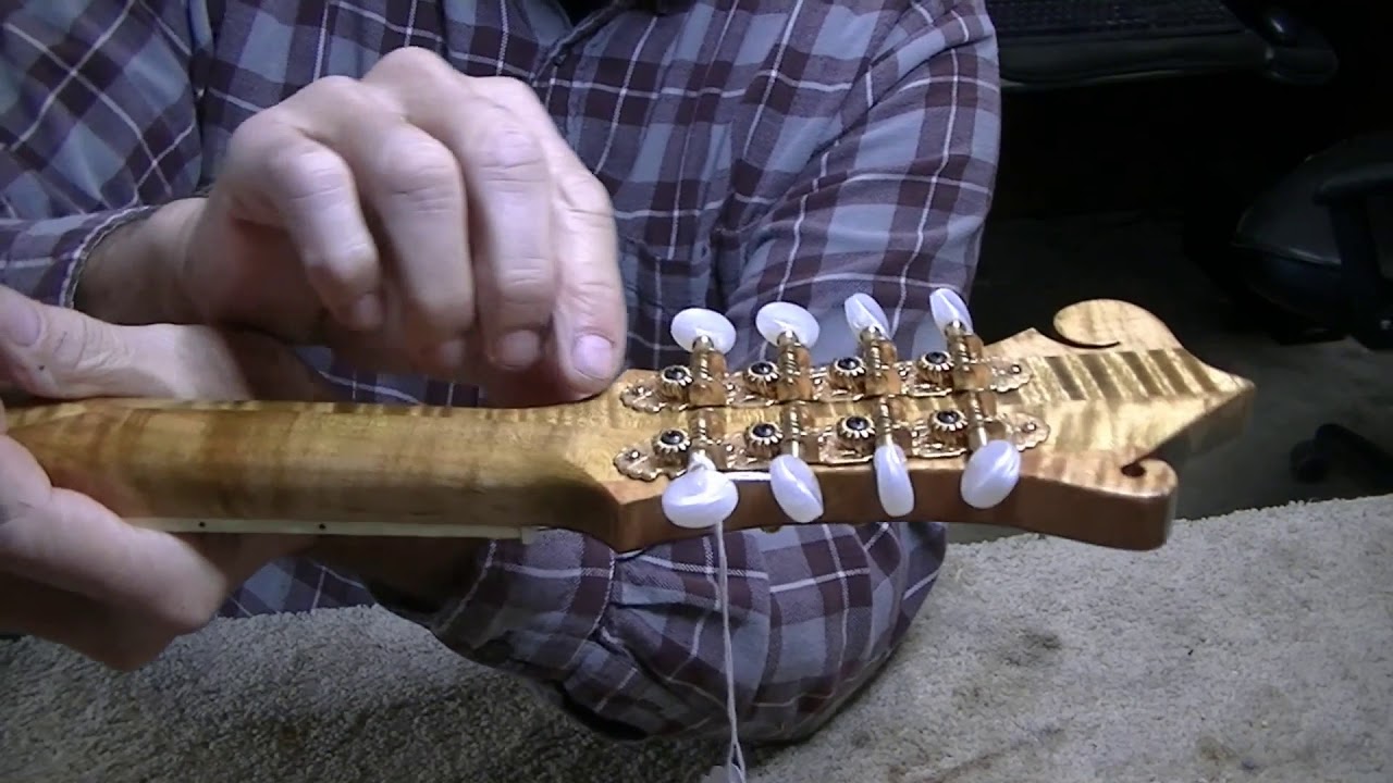 228 RSW Humongous Mandolin Neck Reduced