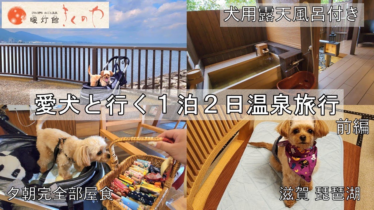 【愛犬と温泉旅行】最高のおもてなし！犬専用露天風呂付き近江牛の美味しい最高お宿紹介!!