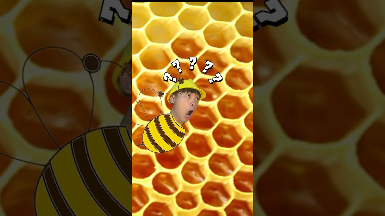 bees don't like you doing that 😂 #shorts #honey #honeybee #beekeeper #bee