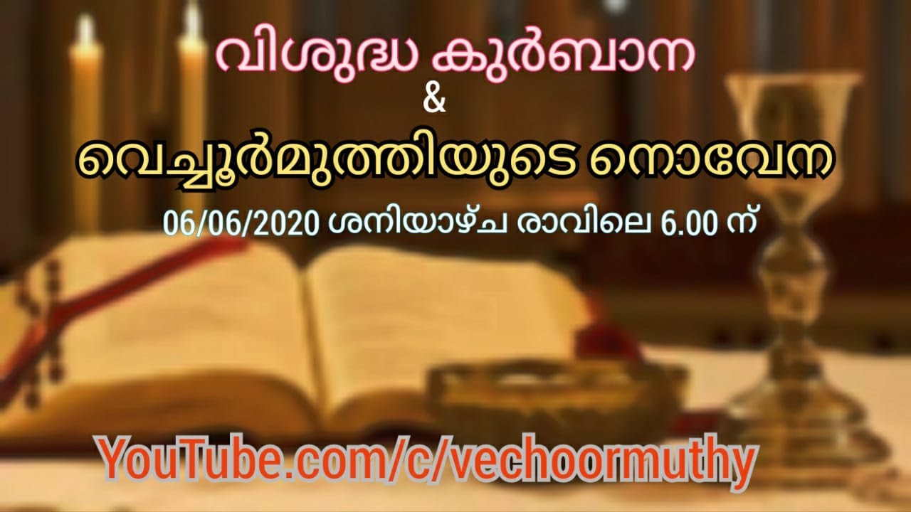Holy Mass and Novena of Vechoor Muthy (06.06.2020)