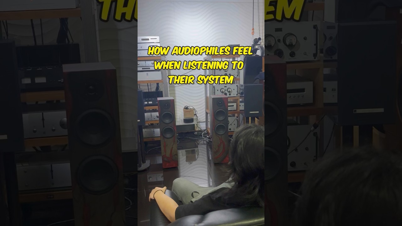 How Audiophiles FEEL when listening to their system!