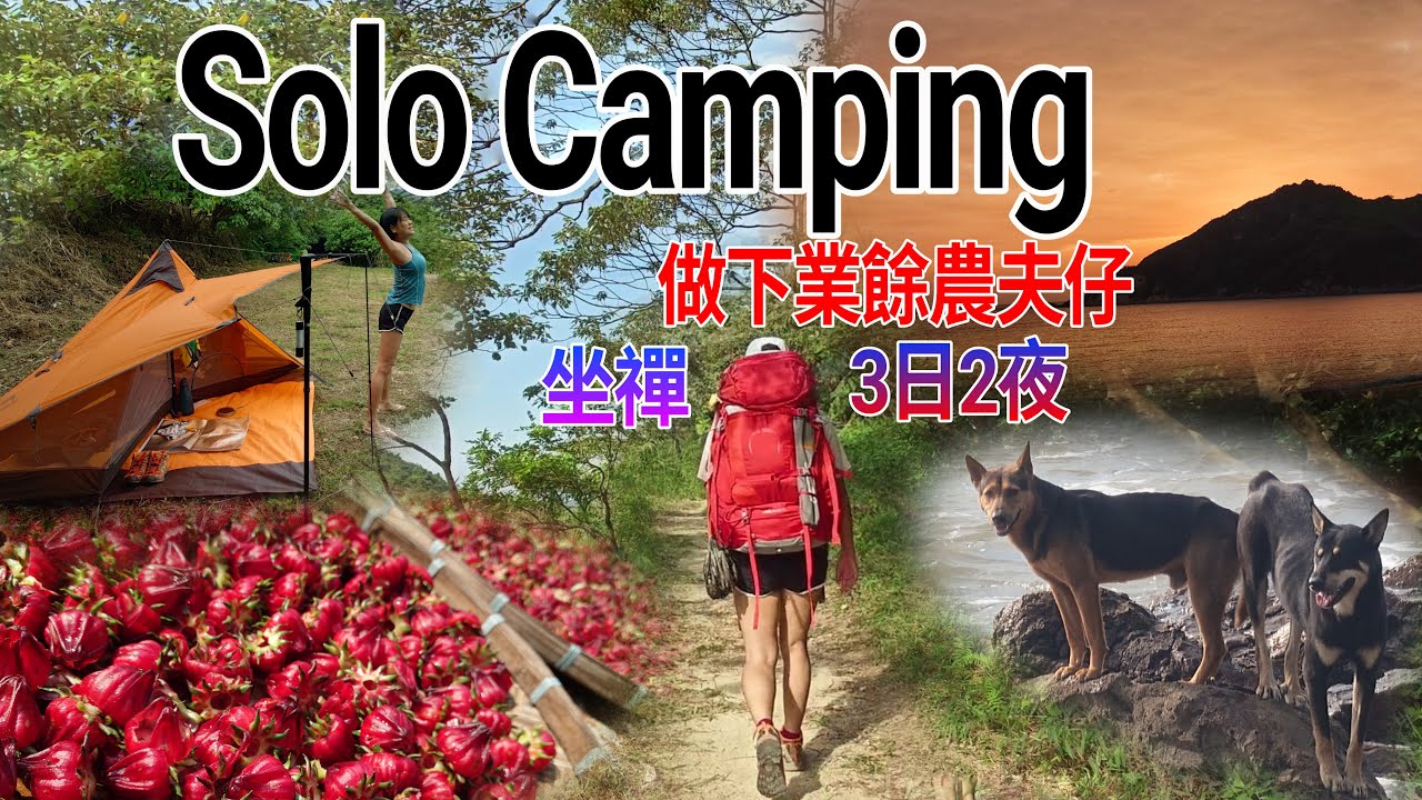 [豬扒妹爬山系Vlog hiking#96] [二澳solo camp3日2夜][做下業餘農夫仔][坐禪] 2025-10-24-26-winly