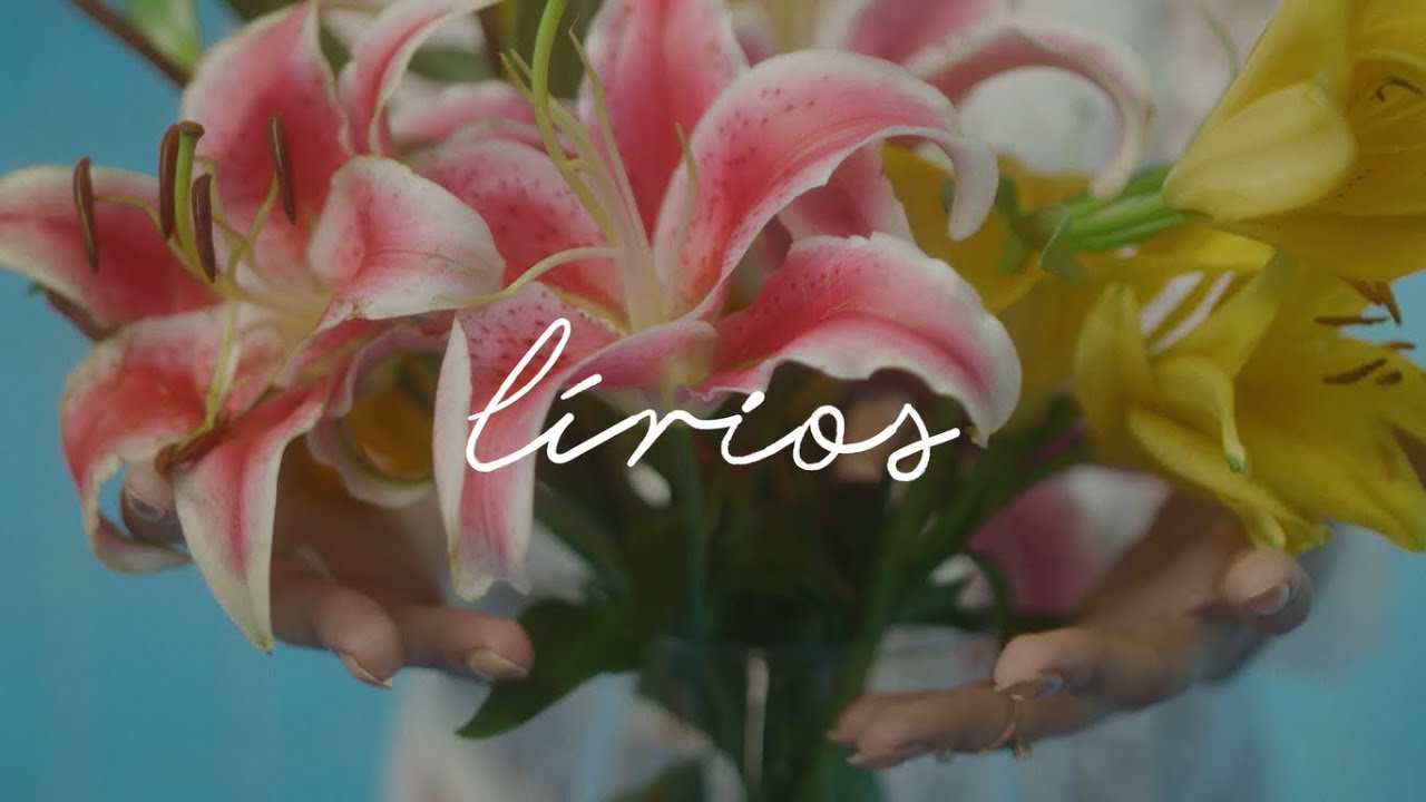 Indy Naíse - lírios :: [Prod. Rincon Sapiência]
