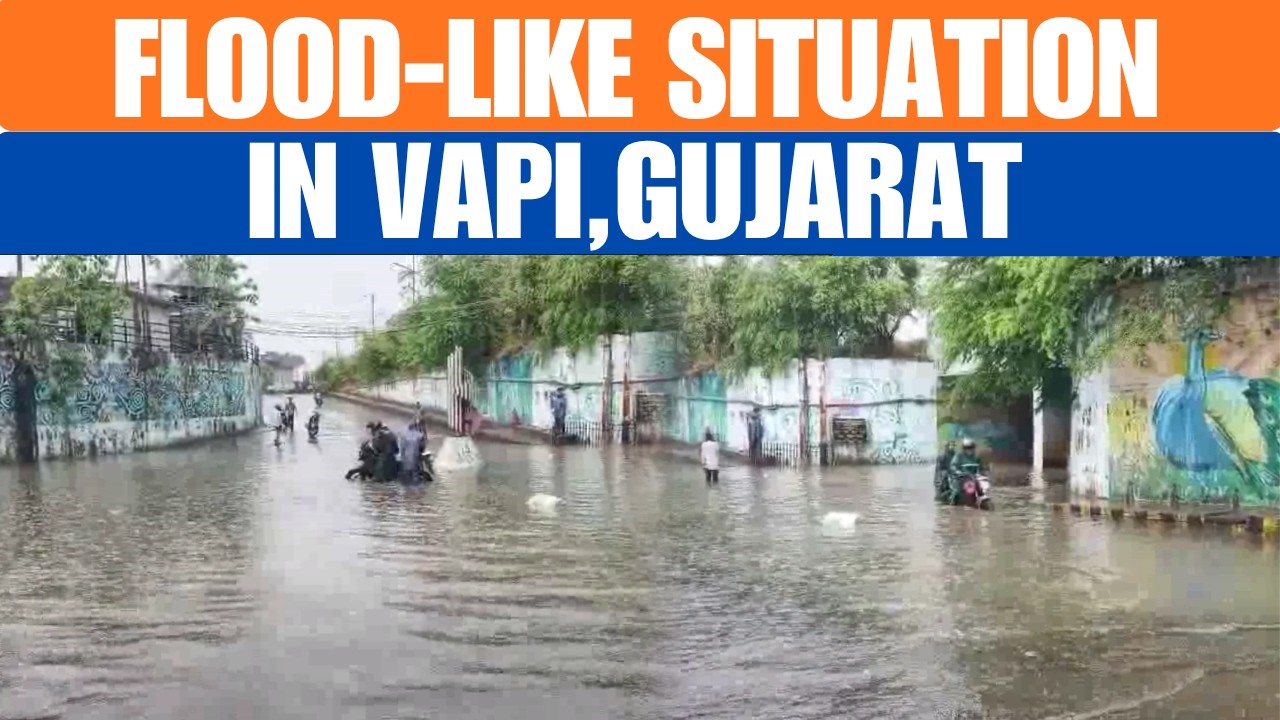 Gujarat | Rain Lashes in Part of City | Flood-Like Situation In Vapi | News9