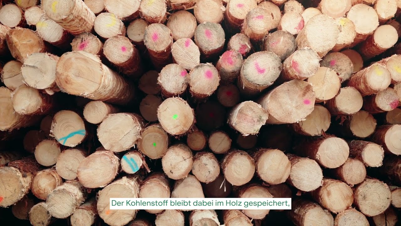 Faszination Holz & Nachhaltigkeit | Blumer Lehmann | in Deutsch
