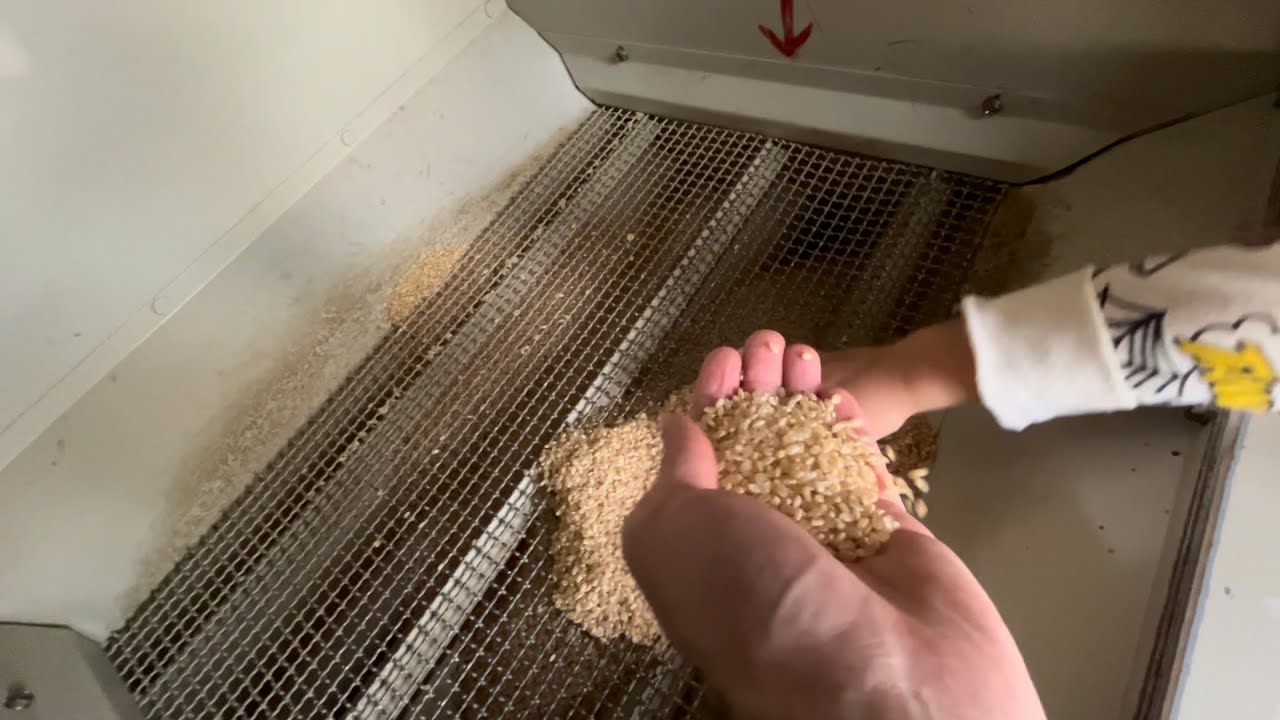 XP Day 113 How to Clean Rice in Japan