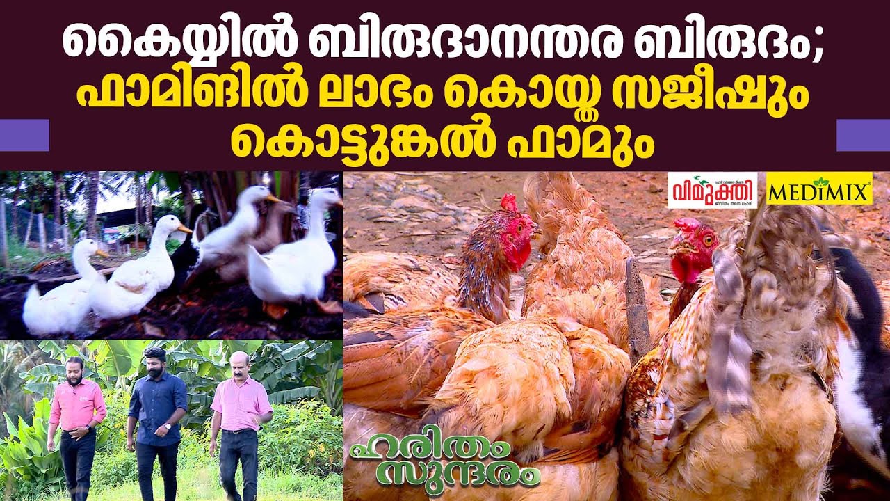 PG holder Sajeesh who earned profitable income from farming | Haritham Sundaram EP 390