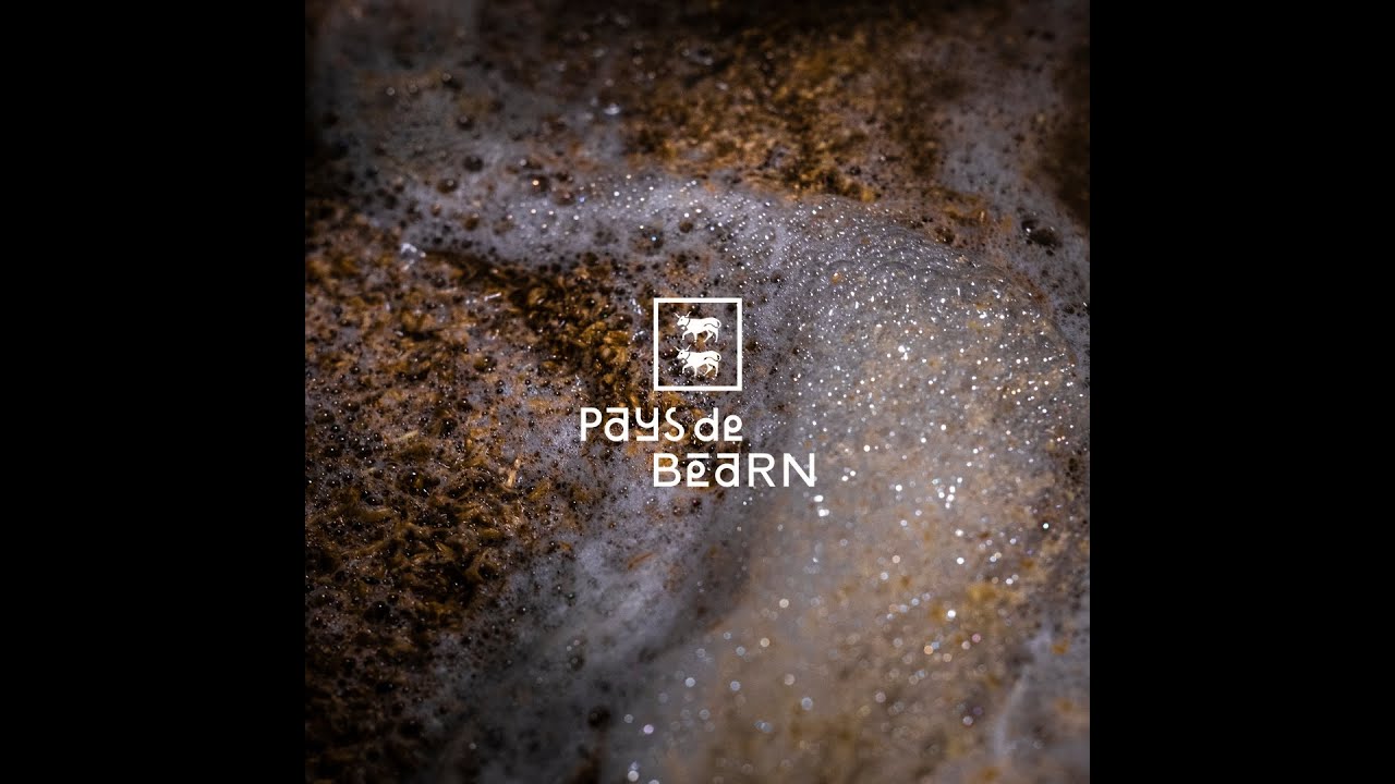 Un Béarn qui pétille !