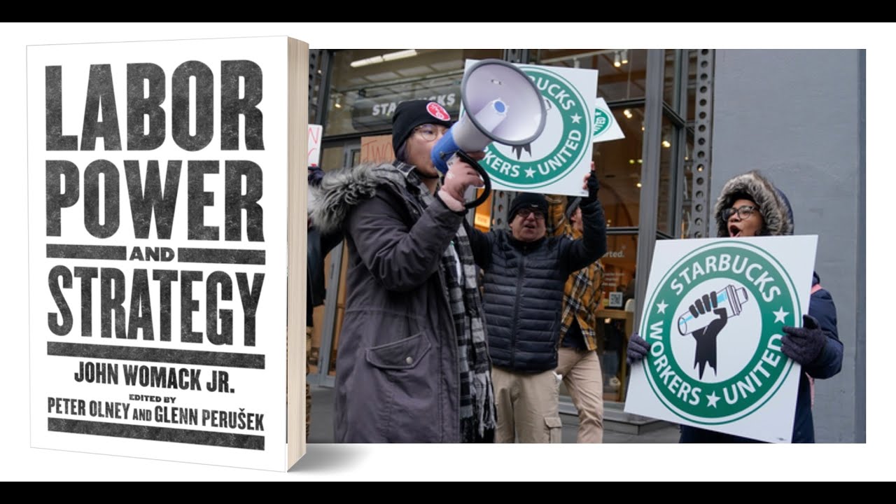 LABOR POWER AND STRATEGY: A PANEL DISCUSSION