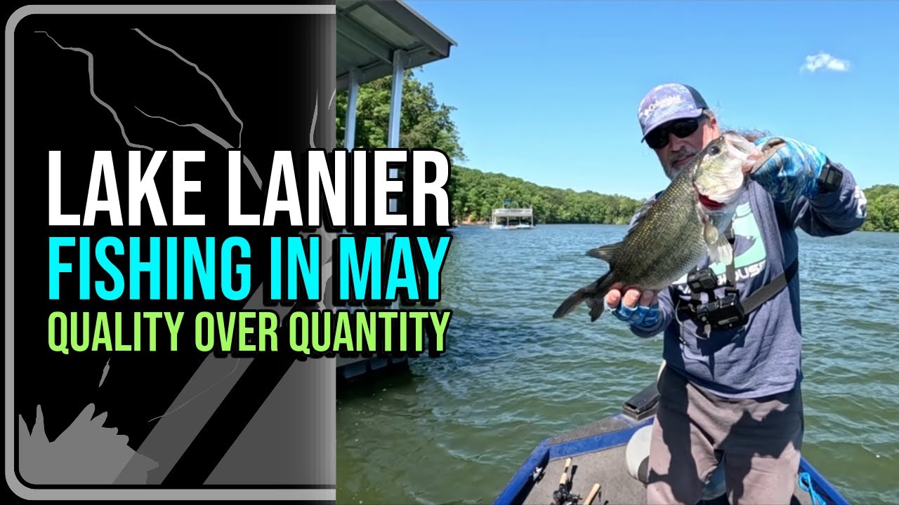Lake Lanier Fishing In May  Quality Over Quantity