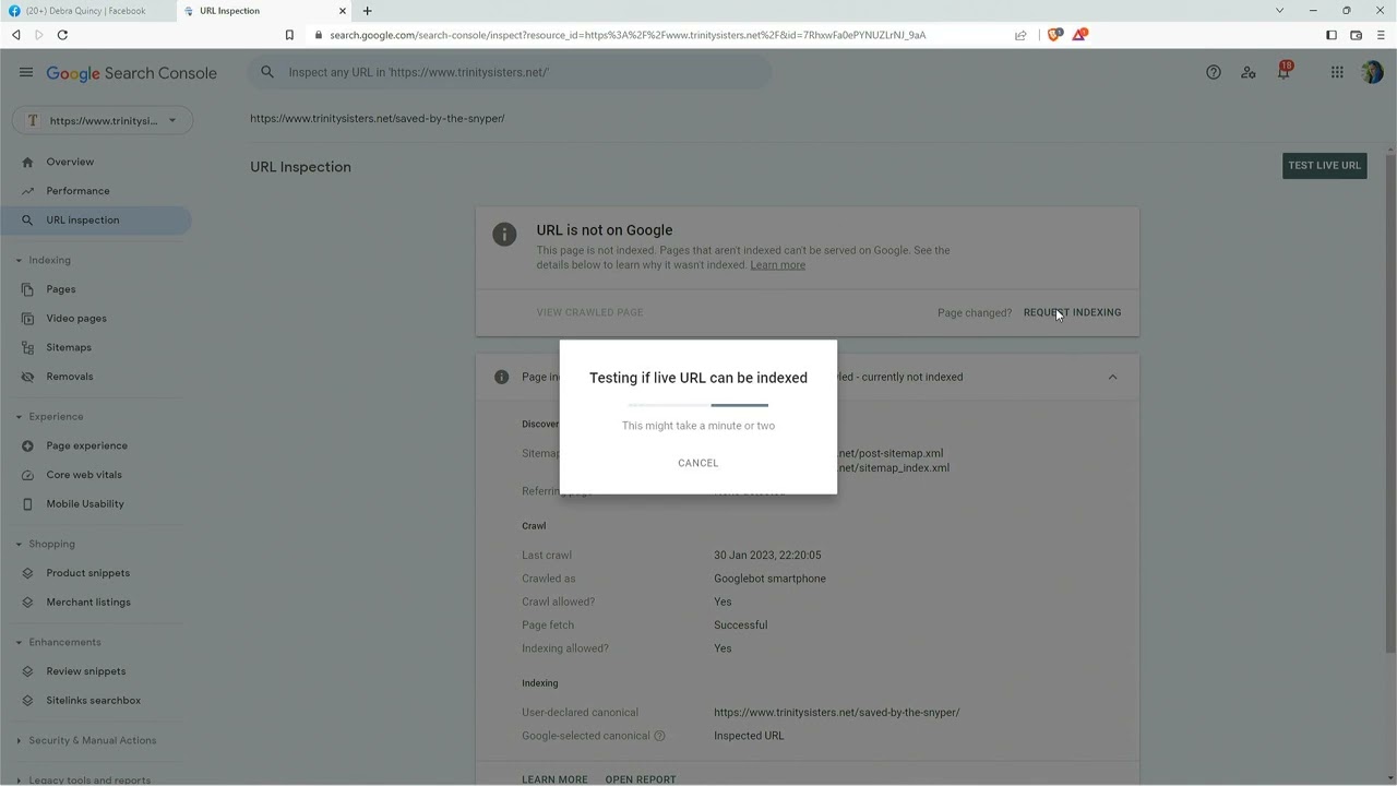 Google won't automatically index your website anymore! How to request indexing anyway!