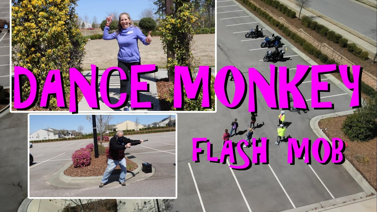 Episode 70 - Dance Monkey Flash Mob