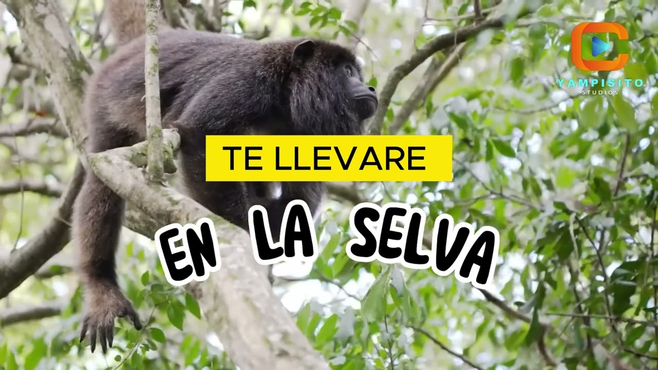 Te Daré Platanito _ Yampisito _ Audio Oficial 2022
