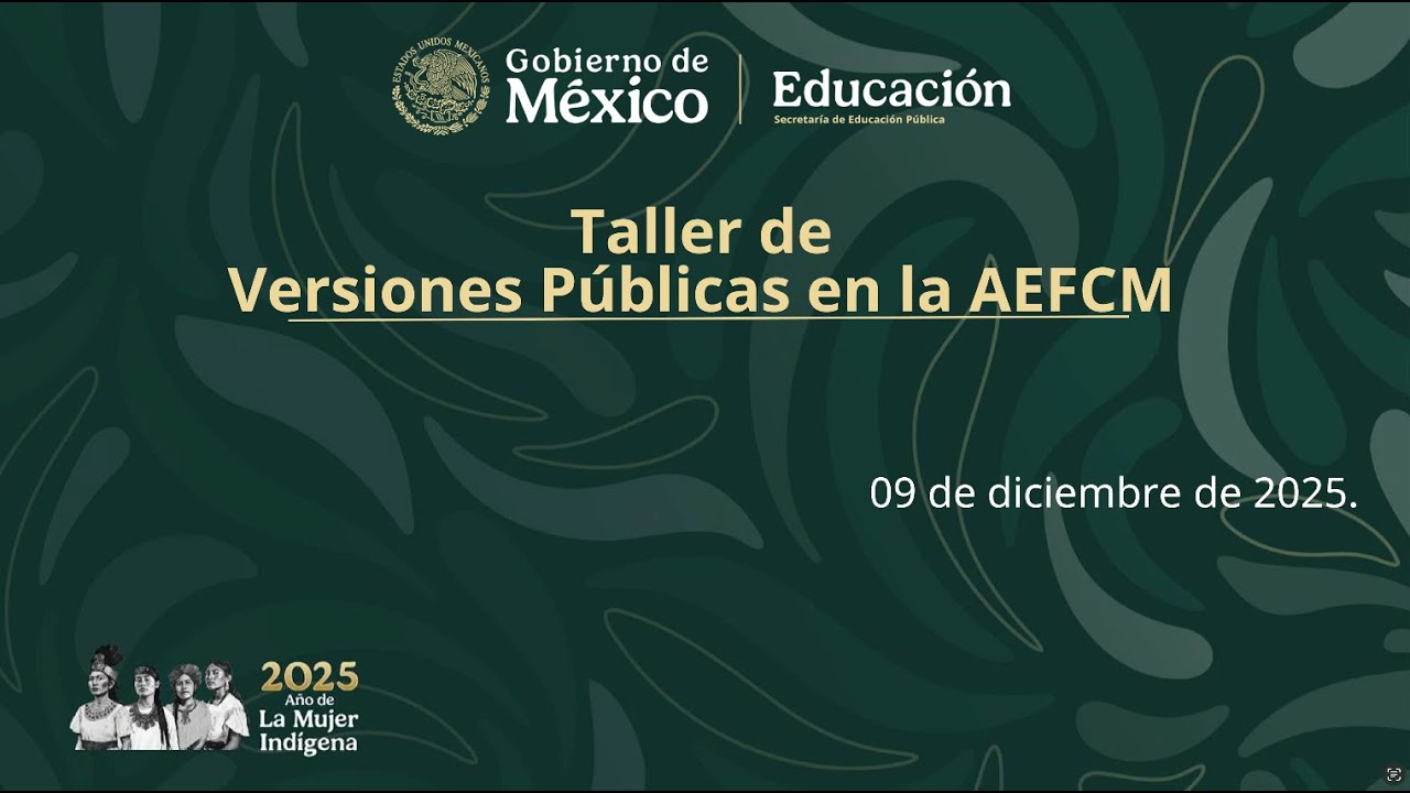 Taller de Elaboraci&oacute;n de Versiones P&uacute;blicas en la AEFCM