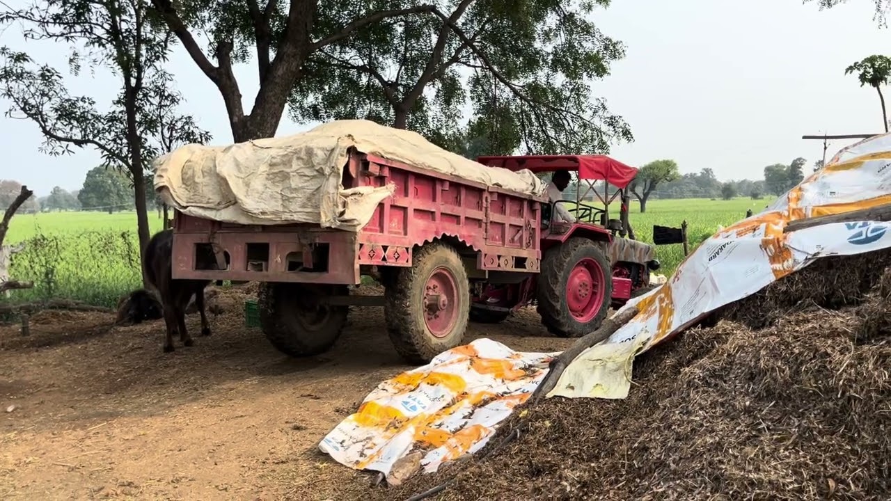 Mahindra 265 DI power 35hp🚜😱super maylag🤑💰