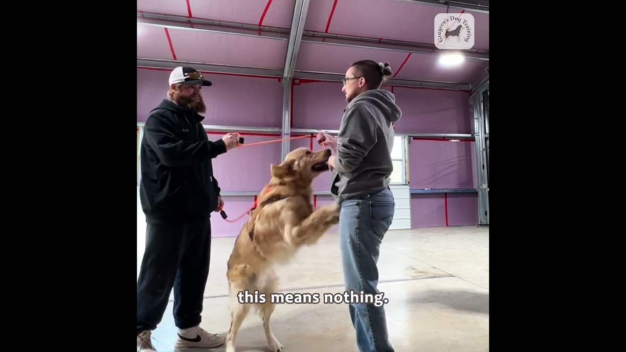 How to Use Marker Words to Improve Your Dog’s Obedience