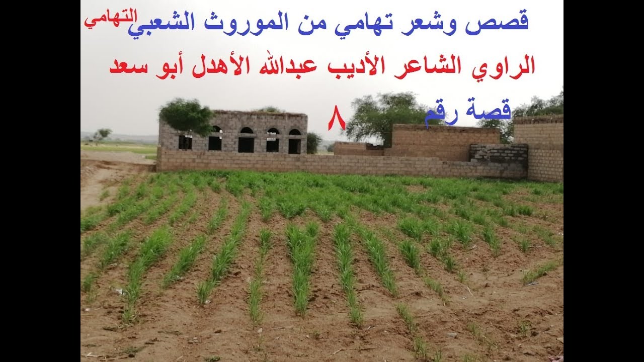 قصص وشعر تهامي قصص من الموروث الشعبي التهامي الراوي والشاعر الأديب عبدالله الأهدل أبو سعد