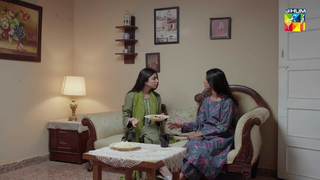 Vicky Aik Number Ka Fraud Hai, Kabhi Bharosa Na Karna..! #daamemohabbat - HUM TV