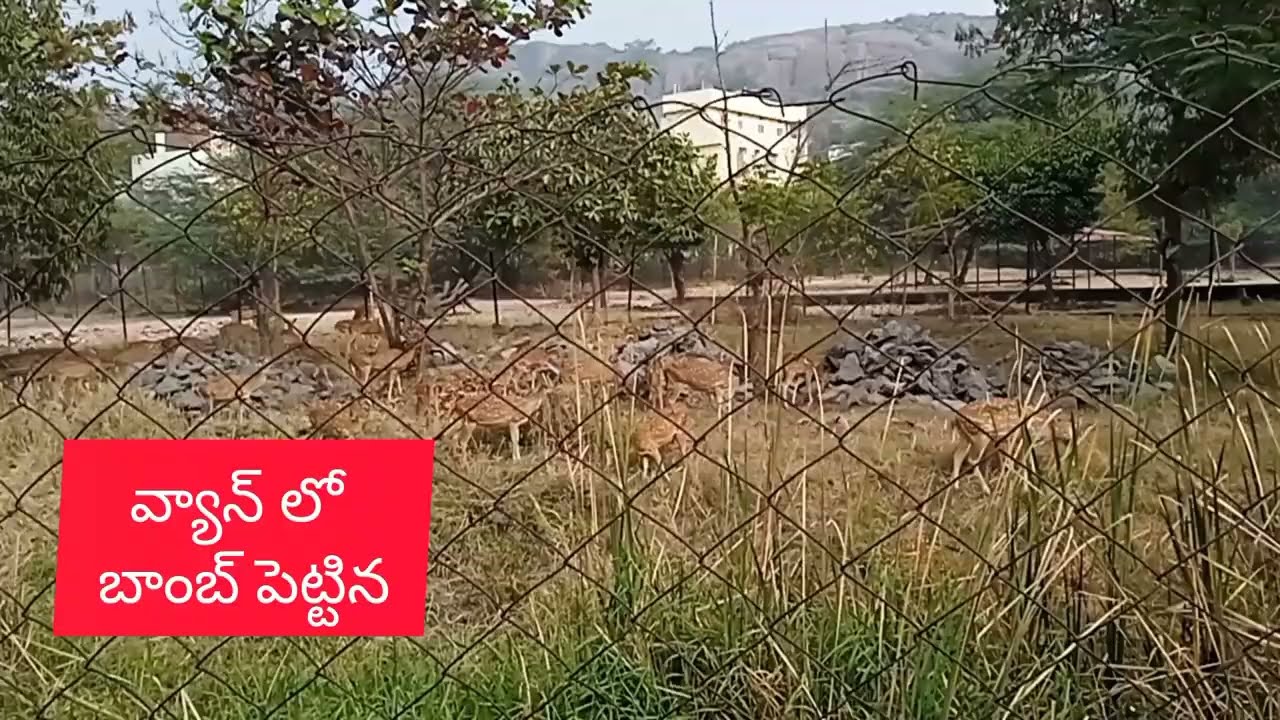 మనో చేతుల్లో భాగీ,పిల్లల ప్రాణాలు#nindu noorella saavaasam