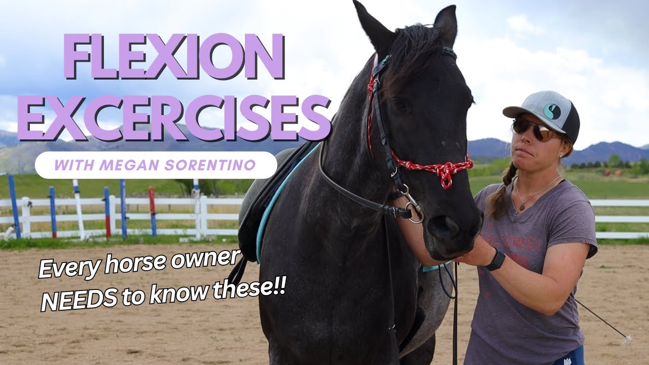Tutorial on Flexions: Lateral, Elevation & Envelopment (13+ exercises to try!)