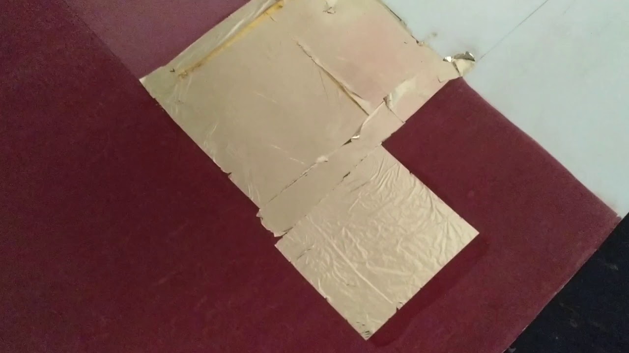 Dorado al agua