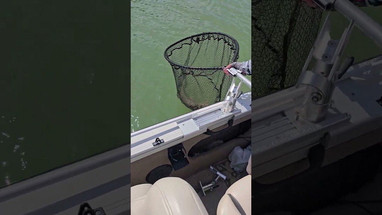 Fish Head Assassin #fishing  Nice Northern Pike