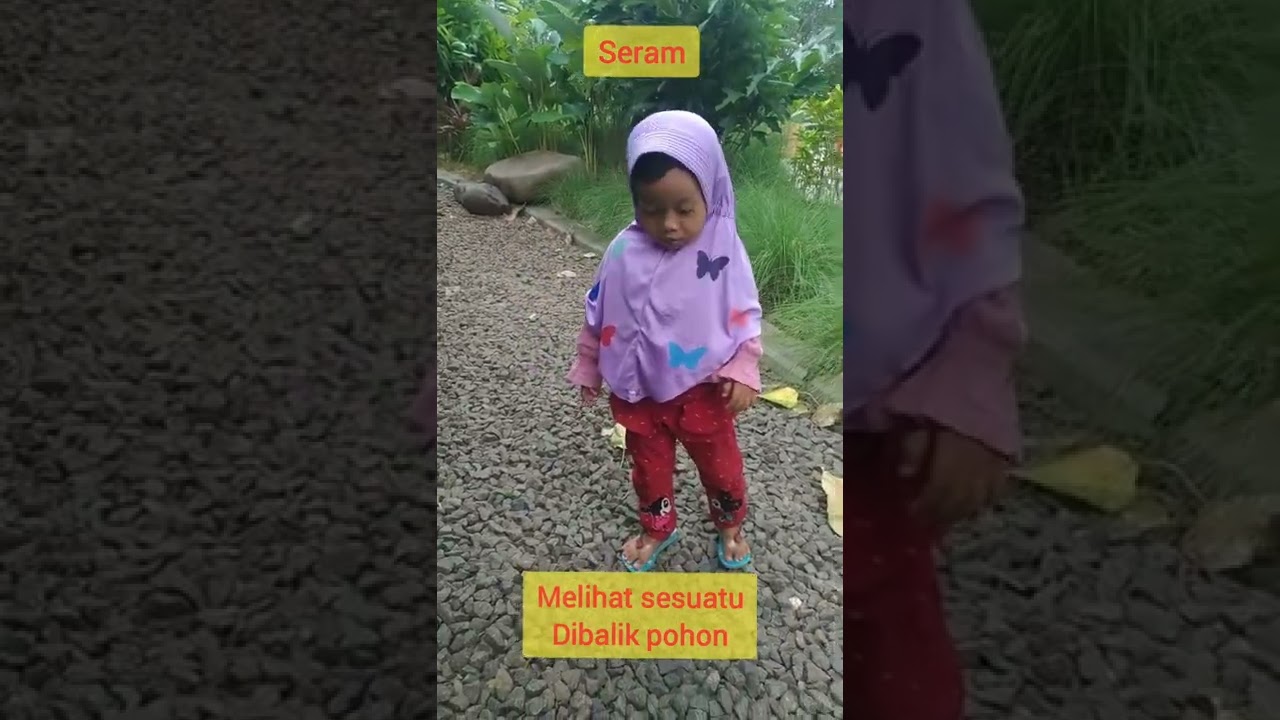Anak Indigo Pasti Tau,Dibalik Pohon Itu #seram #indigo #shorts