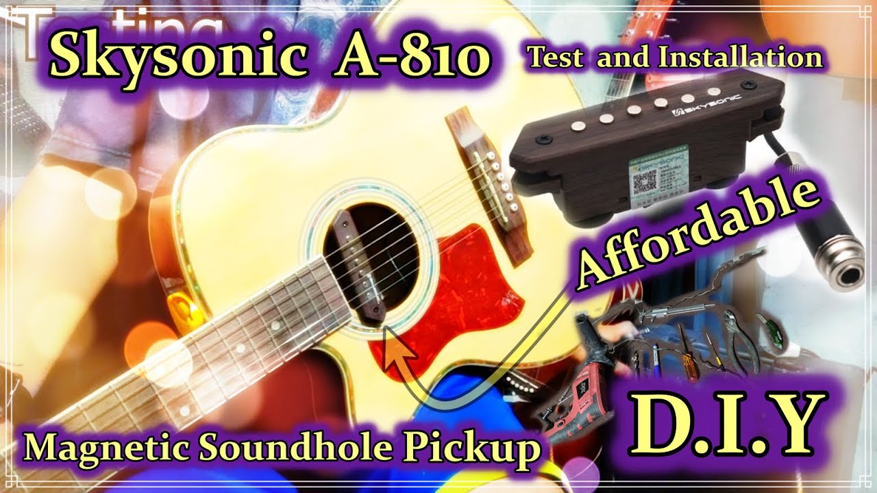Pick Up | Skysonic  A-810 Sound Hole Pickup 