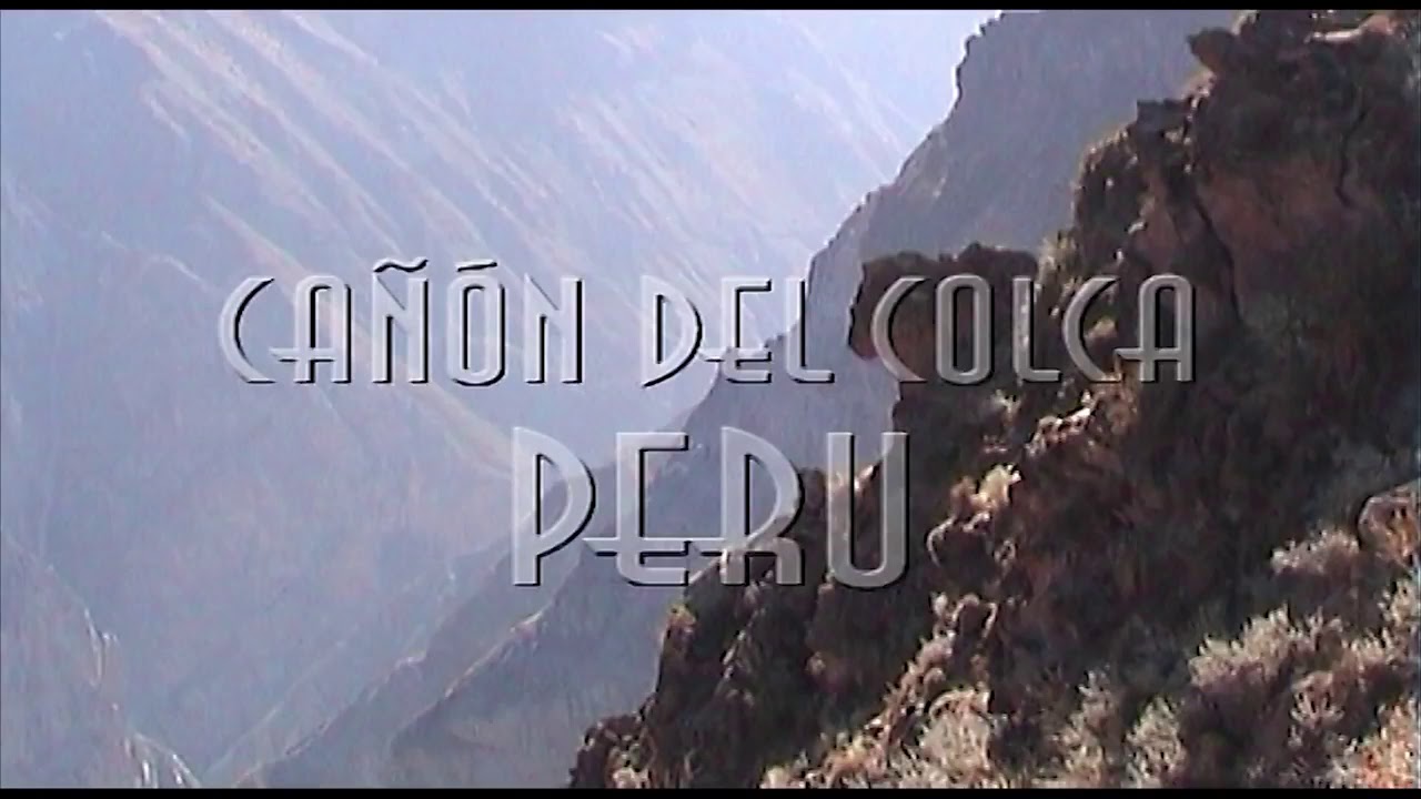 Condor big bird hunter attacks  (720p)