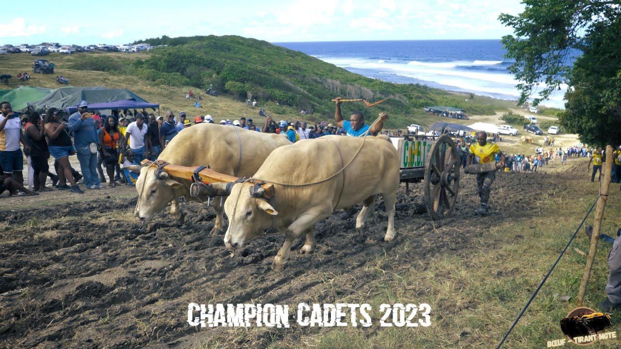 FESTIVAL DES BOEUFS-TIRANTS 2023 - PORTLAND - MOULE - Final - Catégorie Cadets