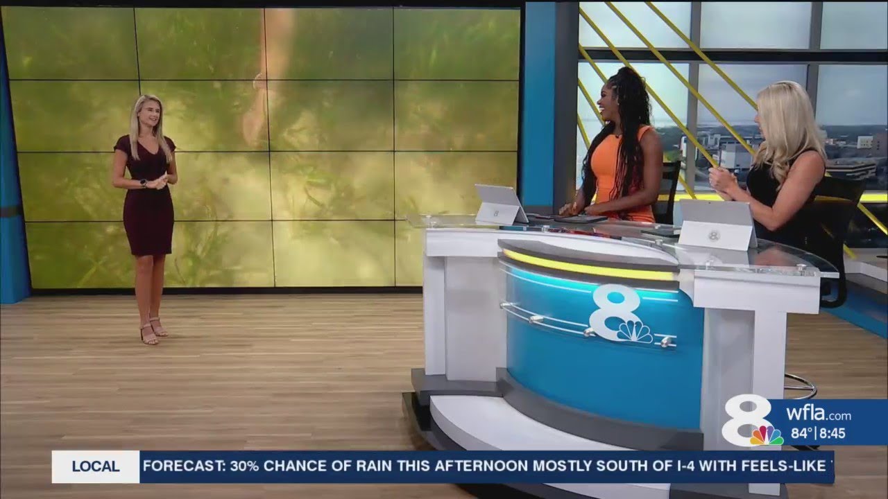 Angling with Amanda: Sandbar Snorkel with Tampa Bay Watch